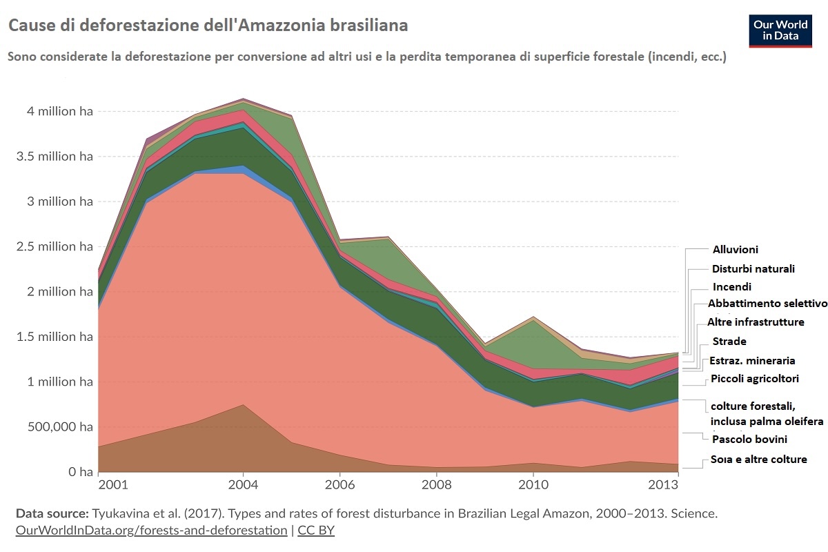 Grafico: Cause della deforestazione dell'Amazzonia
